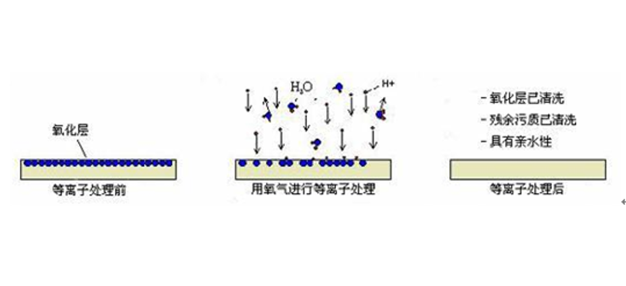 榴莲APP下载网址进入清洗.png