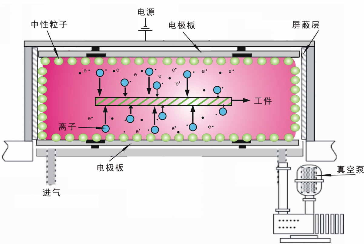 真空式榴莲APP下载网址进入清洗机.png