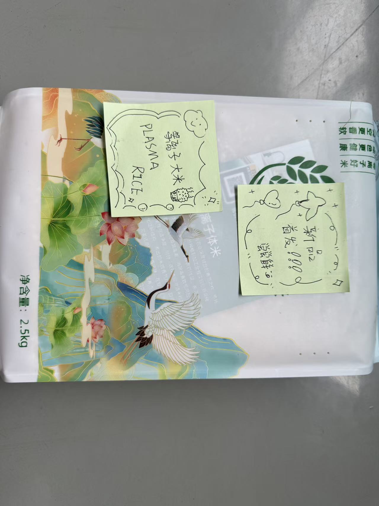 大米1.jpg